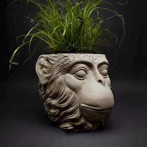 Affenkopf Blumentopf – Monkey Planter – Pflanzen Übertopf – Concrete Plant Pot