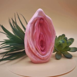 Puede incluir: Una escultura rosa de una vulva, con pliegues internos detallados y una superficie texturizada. La escultura se encuentra sobre un fondo neutro, con acentos de plantas suculentas y espinosas verdes.