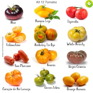 Op de afbeelding: Een collectie van 12 tomatenvariëteiten met het label Kit 12 Tomates, waaronder Blue, Banana Legs, Tigerella, Yellowstone, Berkeley Tie Dye, White Beauty, San Marzano, Ananás, Negro Crimeia, Coração de Boi Laranja, Green Zebra en Orange Banana.