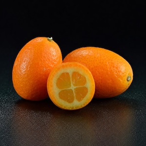 5 zaden van de kumquat – Citrus japonica