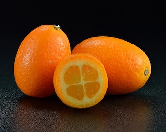 5 semillas de kumquat – Citrus japonica