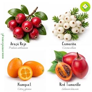 Puede incluir: Imagen que muestra una selección de frutas: Araçá Rojo, Camariña, Kumquat y Red Tamarillo, sobre un fondo blanco. Cada fruta está etiquetada con su nombre y clasificación científica. Las frutas muestran una gama de colores, incluyendo rojo, naranja y blanco.