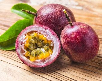 20 Semillas Maracuya Morado Purple (Passionsfrucht) - Passiflora edulis