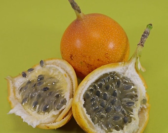10 Semillas Granadilla - Passiflora ligularis