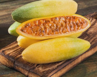10 Semillas Maracuya Curuba - Passiflora mollissima