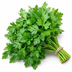 Pode incluir: Um molho fresco de salsa de folha lisa com folhas verdes vibrantes e serrilhadas e caules finos. Os caules estão reunidos e atados firmemente com um pedaço de fio castanho natural, criando um molho compacto de ervas verdes aromáticas.