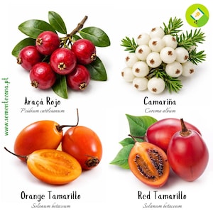 Op de afbeelding: Een collage van vier verschillende vruchten. Linksboven: rode Araça Rojo bessen met groene bladeren. Rechtsboven: witte Camariña bessen met groene takjes. Linksonder: oranje Tamarillo vruchten, één doorgesneden. Rechtsonder: rode Tamarillo vruchten, één doorgesneden. Tekstlabels zijn inbegrepen.