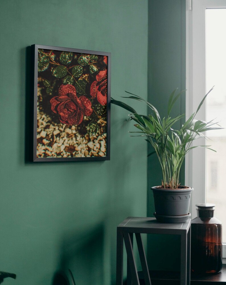 Red Rose Wall Art – Elegant Floral Canvas Print for Modern Interiors - Etsy
