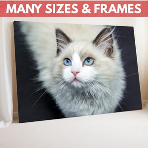 All Sizes Custom Photo Canvas, Custom Pet Portrait Canvas, Personalized Dog Photo Wall Art, Custom Pet Canvas Print, Custom Dog Portrait
