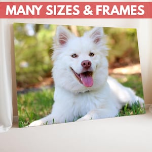 All Sizes Custom Photo Canvas, Custom Pet Portrait Canvas, Personalized Dog Photo Wall Art, Custom Pet Canvas Print, Custom Dog Portrait