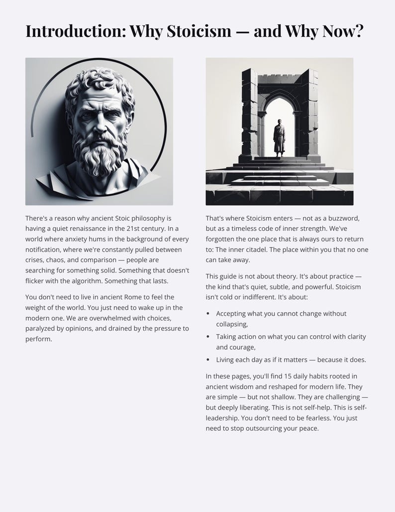 Stoic Mindset Guide: Daily Stoic Habits Workbook, PDF Download, eBook image 3