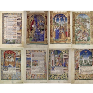 May include: A collection of illuminated manuscript pages featuring vibrant illustrations and ornate borders. The images depict religious scenes with figures in detailed clothing, set against gold backgrounds. The pages include handwritten text and decorative elements.
