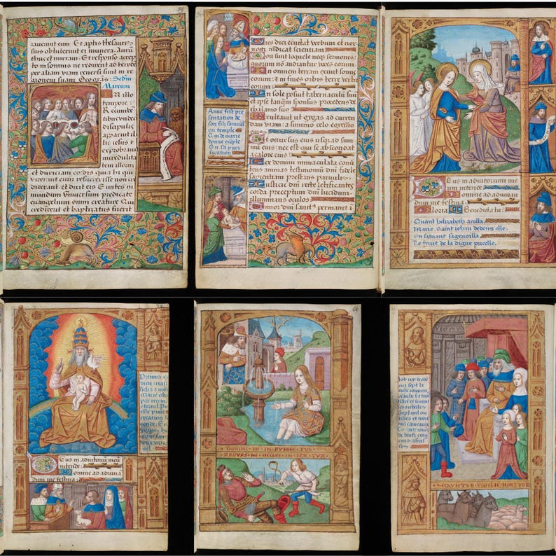 May include: A collection of six illuminated manuscript pages. Each page features detailed illustrations with vibrant colors, including scenes with figures in medieval attire, ornate borders, and handwritten text. The pages are arranged in a grid.