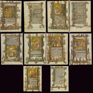 May include: A collection of illuminated manuscript pages, likely from a medieval book. Each page features intricate gold leaf detailing, colorful illustrations, and handwritten text. The pages are arranged against a black background, showcasing the historical artwork.