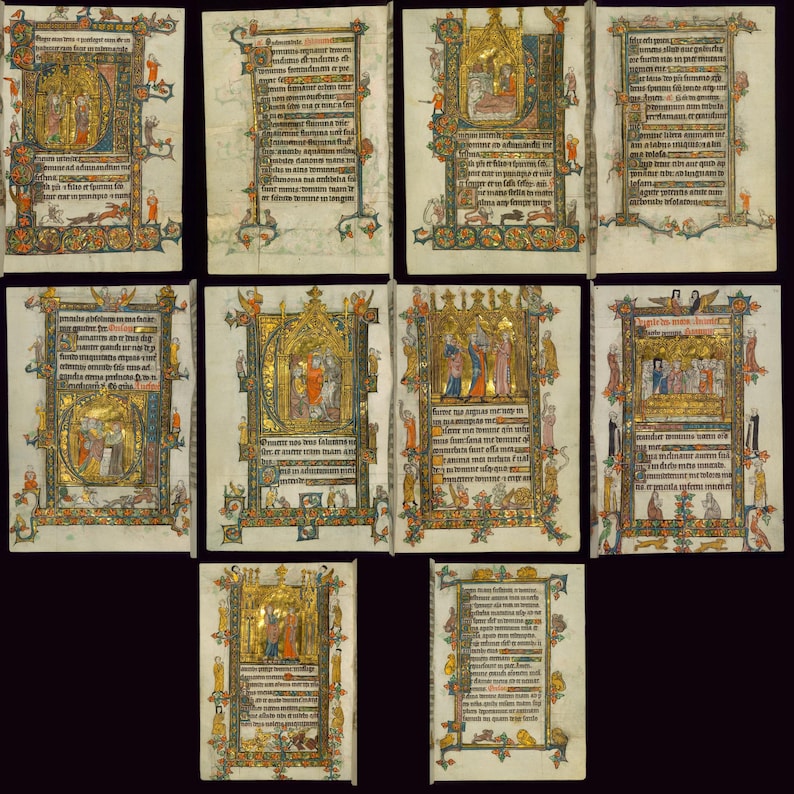 May include: A collection of illuminated manuscript pages, likely from a medieval book. Each page features intricate gold leaf detailing, colorful illustrations, and handwritten text. The pages are arranged against a black background, showcasing the historical artwork.