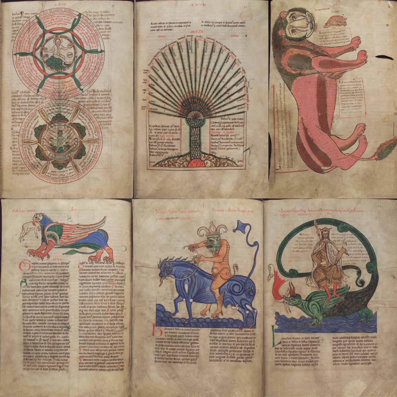 May include: A collection of open books featuring medieval illustrations. The images include a lion-like creature, a tree-like diagram, and figures riding animals. The illustrations are in red, green, and blue on aged parchment pages.