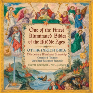Può includere: Copertina di manoscritto miniato con il testo "One of the Finest Illuminated Bibles of the Middle Ages". L'immagine presenta angeli, figure in abiti e un paesaggio con una barca. Il testo recita anche "OTTHEINRICH BIBLE."