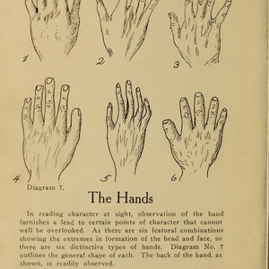 May include: A page from "The Sage's Key To" featuring six hand diagrams, numbered 1 to 6. The text below, titled "The Hands", discusses how hand shapes relate to character traits. The page is from an old book.