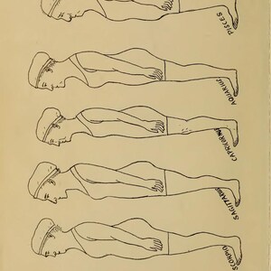 May include: A vintage book illustration showing six line drawings of figures in swimwear, each labelled with a zodiac sign: Pisces, Aquarius, Capricorn, Sagittarius, Scorpio, and Libra. The text at the top reads "THE SAGE'S KEY TO".