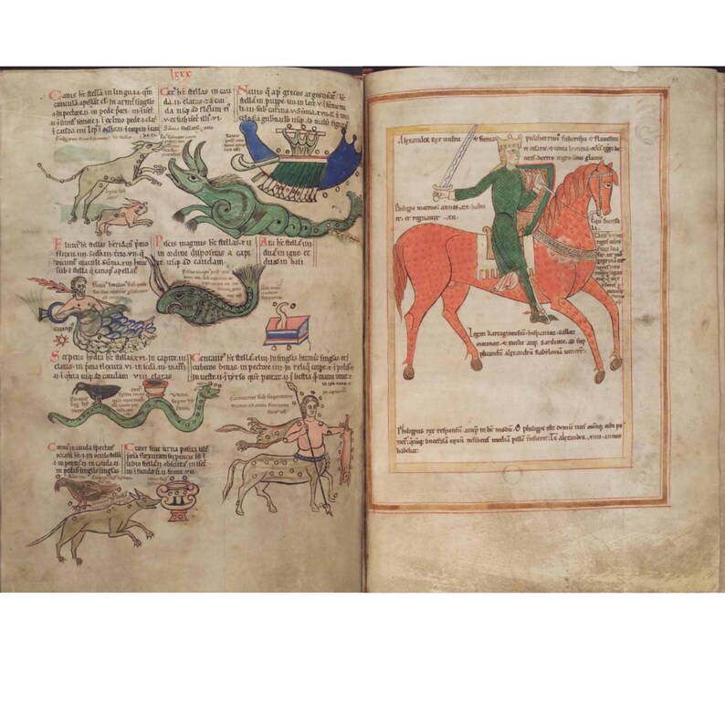 May include: Open book with medieval illustrations. One page features various creatures and figures, including a green serpent and a mermaid. The facing page shows a knight on a red horse, holding a sword. The pages are aged with visible text.