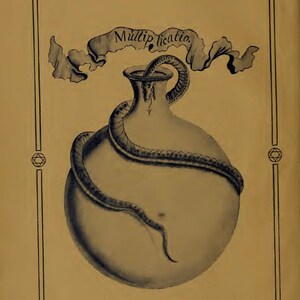 May include: An illustration of a vase entwined by a snake, with the word "Multiplicatio" on a banner above. The image is set within a decorative border, reminiscent of an old print.