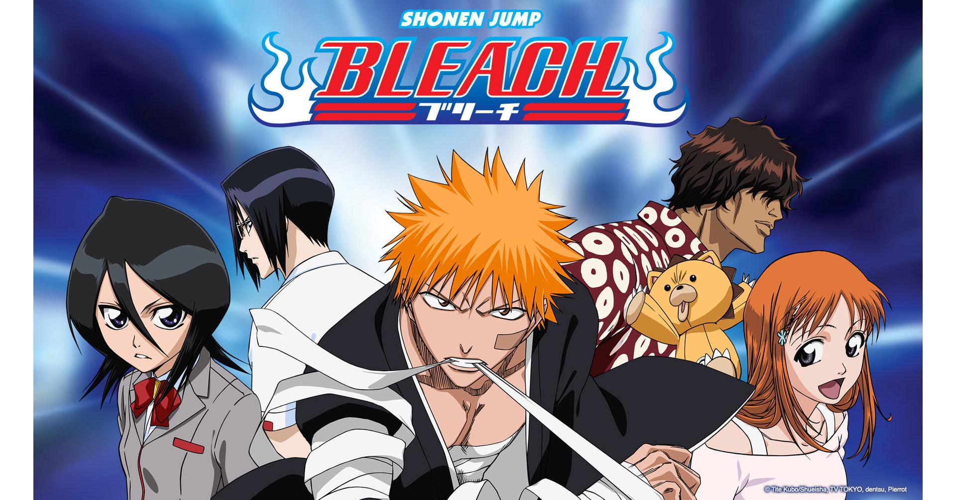 Bleach Anime Dvd Complete Series - Etsy