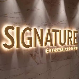 Custom Backlit Sign, 3D Backlit stainless steel channel letter sign, Company Sign, Aesthetic Beauty Salon Sign, Custom Business Signs