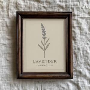Impressão botânica de lavanda – Arte de parede de herbário vintage, impressão cottagecore, download de ilustração de planta rústica