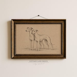 Pode incluir: Uma peça de arte de parede emoldurada com um desenho a lápis estilo carvão de dois galgos em pé num campo relvado. A obra de arte está inserida numa moldura de madeira escura e ornamentada com um fio preto fino preso na borda superior.