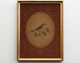 Vintage Bird Art Print: Cottagecore Illustration (Digital Download)