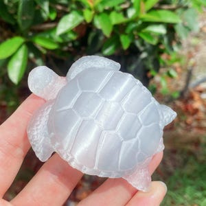 May include: A translucent, light-colored turtle figurine. The figurine has a detailed shell pattern and visible flippers and head. The turtle is held in a hand against a blurred background of green foliage.