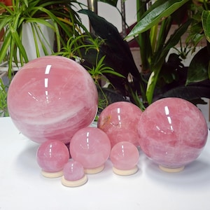Puede incluir: Una colección de esferas de cuarzo rosa de varios tamaños, desde pequeñas hasta grandes. Las esferas son de color rosa suave y descansan sobre pequeños soportes redondos de madera. El fondo presenta plantas verdes.