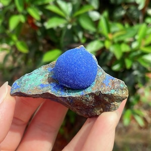 Puede incluir: Una vibrante esfera de azurita azul descansa sobre una matriz de malaquita verde y marrón. La formación de piedra natural se sostiene en una mano, con un fondo verde borroso.