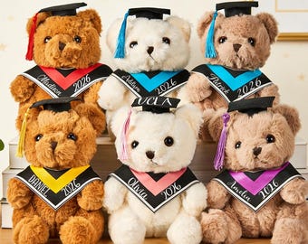 Personalized Graduation Bear 2026, Custom Teddy Gift, Preschool Kindergarten College Grad