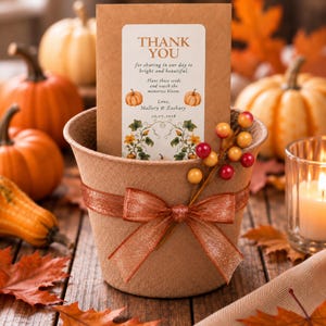 Autumn PUMPKIN SEED Guest Party Favor. Little Sugar Pumpkin Gift.  American Heirloom, Biodegradable Peat Pot, Personalized