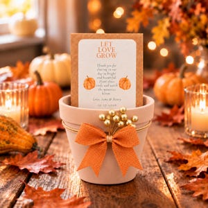 Personalized Pumpkin Seed Party Favors, Heirloom Pumpkin Seeds, Terracotta Pot Planting Kit