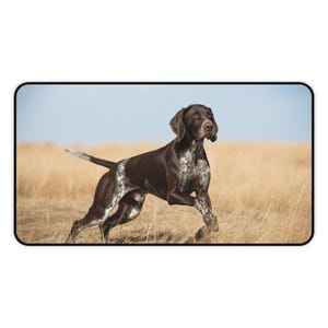 May include: A German Shorthaired Pointer dog running through a field of dry grass under a blue sky. The dog's coat is brown with white speckles. The image shows the dog in full stride, with its tail extended and ears flopping.