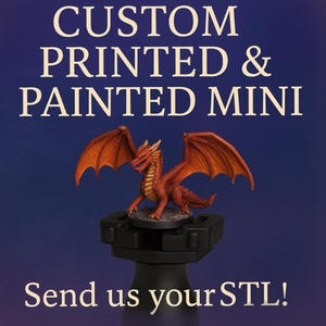 Custom Printed DnD Miniatures