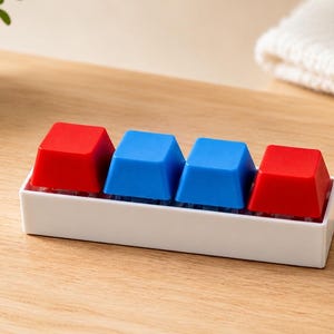 May include: A white rectangular container holds four colorful, square-shaped objects. Two are red, and two are blue. The objects are arranged in a row. The container sits on a light brown wooden surface.