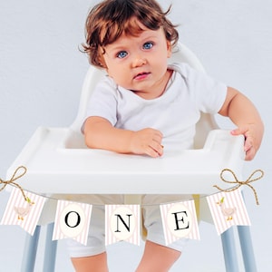 One Silly Goose High Chair Banner, Editable One Silly Goose Party Banner, Pink Goose 1st Birthday Decoration, Pink Goose Theme Decor