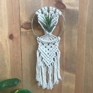 DIY macrame air plant hanger kit the Rowan, air plant hanger kit, macrame kit, diy macrame, crafty boho kit image 2