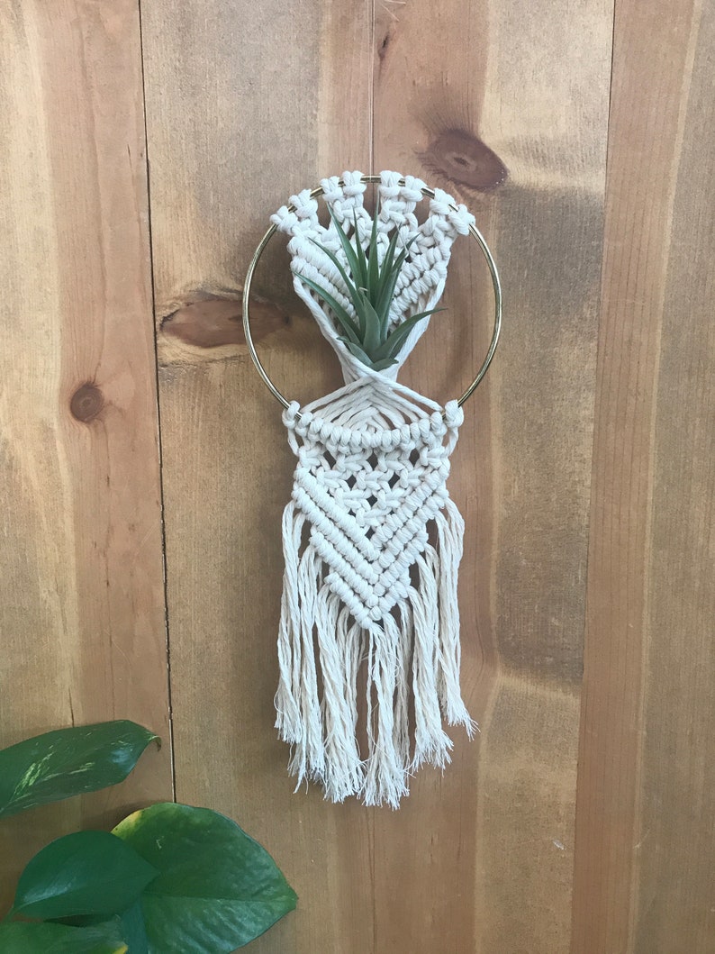 DIY macrame air plant hanger kit the Rowan, air plant hanger kit, macrame kit, diy macrame, crafty boho kit image 2