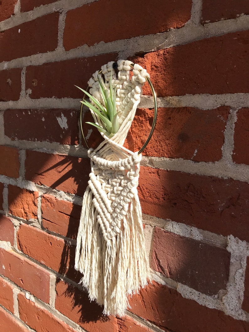 DIY macrame air plant hanger kit the Rowan, air plant hanger kit, macrame kit, diy macrame, crafty boho kit image 8