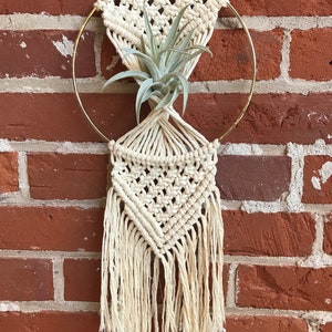 DIY macrame air plant hanger kit the Rowan, air plant hanger kit, macrame kit, diy macrame, crafty boho kit image 9