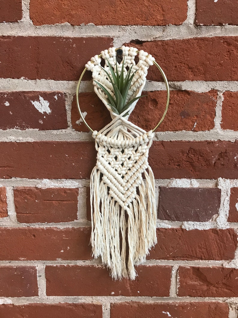 DIY macrame air plant hanger kit the Rowan, air plant hanger kit, macrame kit, diy macrame, crafty boho kit image 3