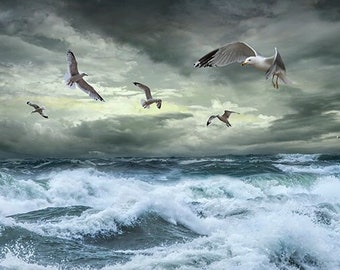 Tempest Storm Waves on Lake Michigan in the Great Lakes with Flying Gulls, in Sturgeon Bay by Wilderness State Park, Michigan Photography