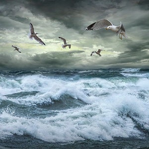 Lake Michigan Storm Waves Photography: Sturgeon Bay Gulls Print