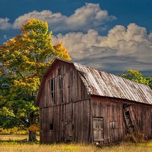 Rustic Barn, Wooden Barn, Michigan Barn, Agricultural Farm, Autumn Scene, Fall Fine Art, Country Landscape, Farm Photograph