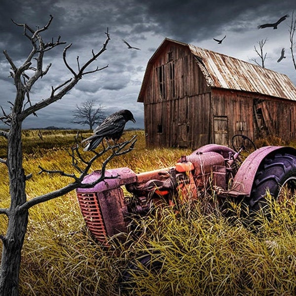 Abandoned Farm Tractor, Farm Wall Decor, Farmall Tractor, Black Crows, Turkey Vulture, Rustic Barn, Rural Landscape, Fine Art Photography