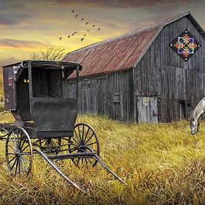 Amish Buggy, Barn Quilt, Amish Farm, Quilt Art on Barn, Horse and Buggy, Rustic Farmhouse Decor, Amish Dairy Farm, Agricultural Photograph